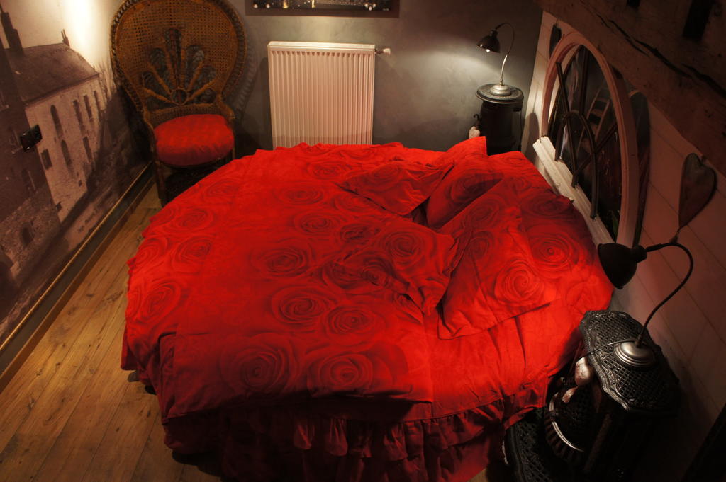 Aux Logis De La Solre Bed & Breakfast Ferrière-la-Petite Oda fotoğraf